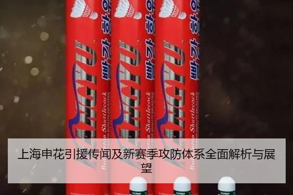 上海申花引援传闻及新赛季攻防体系全面解析与展望